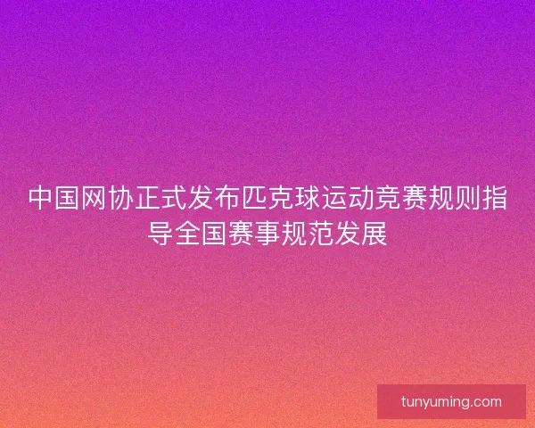 中国网协正式发布匹克球运动竞赛规则指导全国赛事规范发展